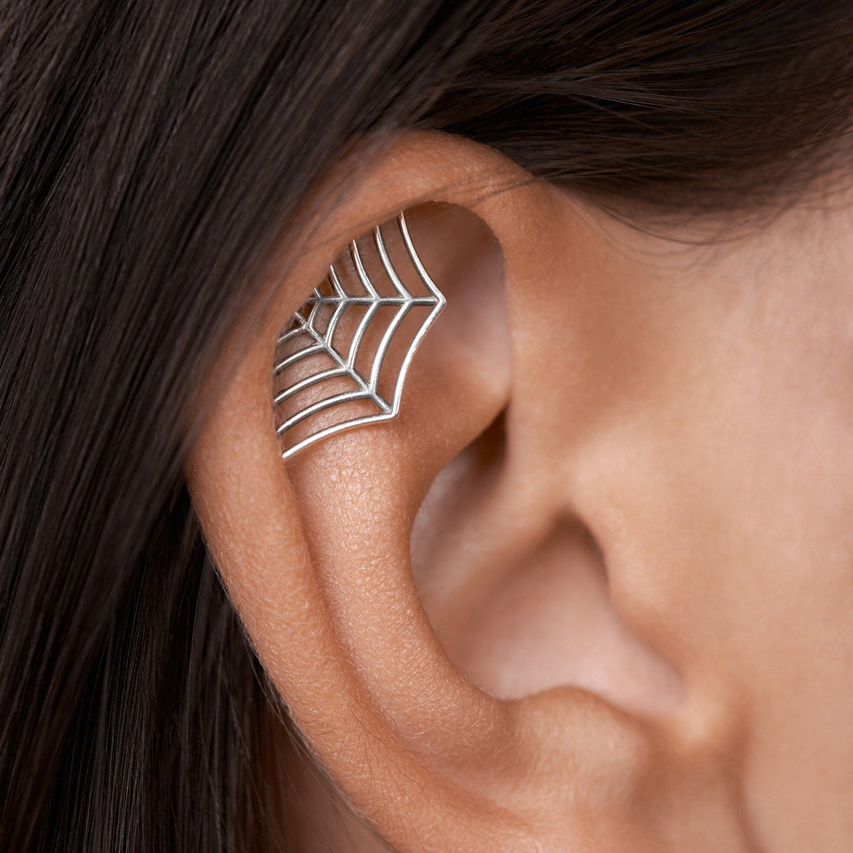 Spider Web Earring