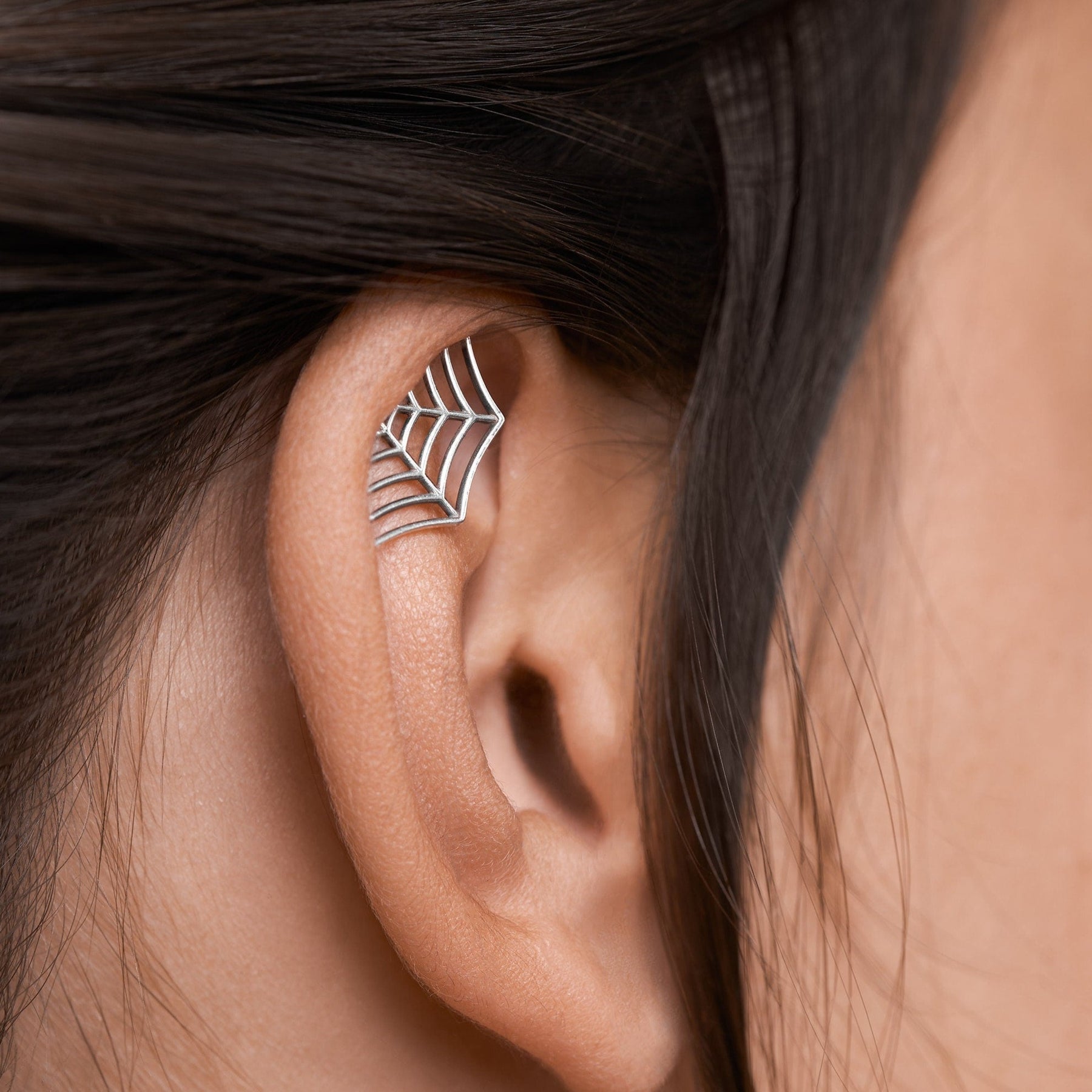 Spider Web Earring